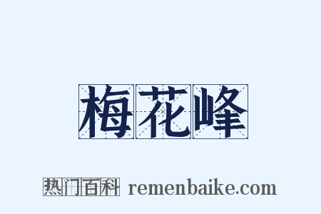 梅花峰是什么意思的图片